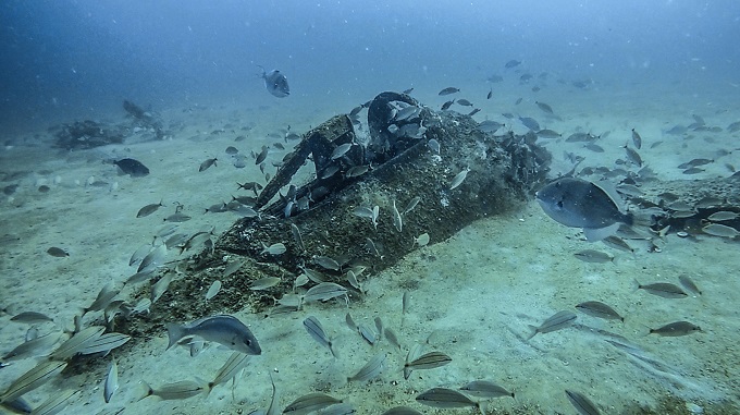 Underwater wreckage of an old aircraft cockpit with lots of fish swimming around it