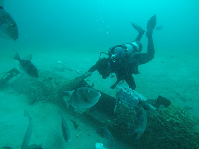 A scuba diver in blue water examines the wreckage of an old airplane's cockpit as several large fish swim past