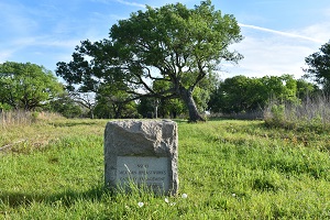 A stone marker set in the grass with a tree behind it