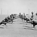 camp bowie training