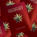 A promotional image showing red THC passports