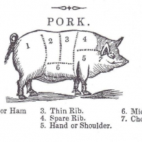 pig diagram