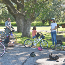 people standing with bikes under a tree